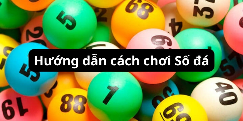 Hướng dẫn cách chơi Số Đá Dễ Thắng Nhất Trong XSMN?